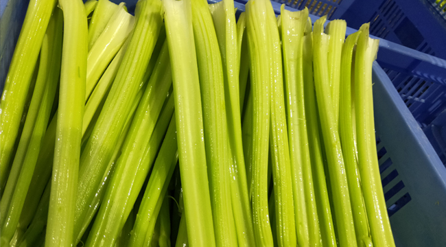 净菜加工