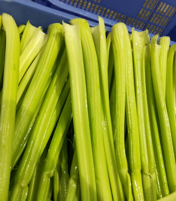 净菜加工