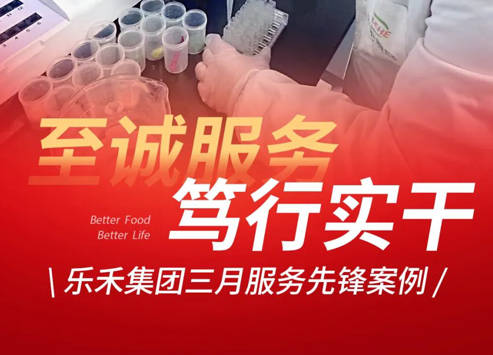 服务不止于配送!乐禾人用专业与暖心,做好每一份延伸服务